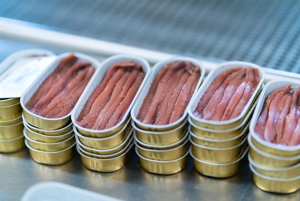 Visita a una fábrica de anchoas en Santoña